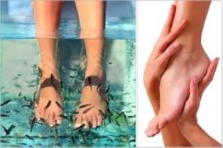 pedicuristen Hillegem | Body & Feet