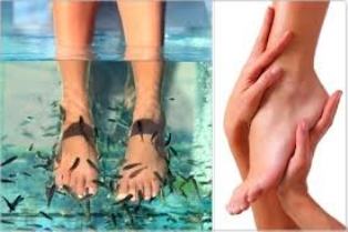 pedicuristen Ninove Body & Feet